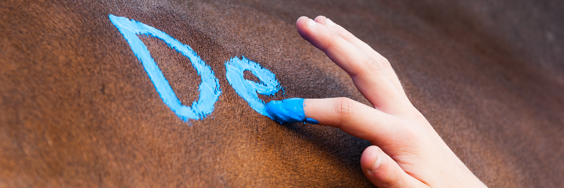 Finger malt Pferd an